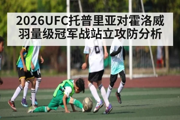 2026UFC托普里亚对霍洛威羽量级冠军战站立攻防分析